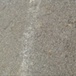 Meet your Posher, Rodney